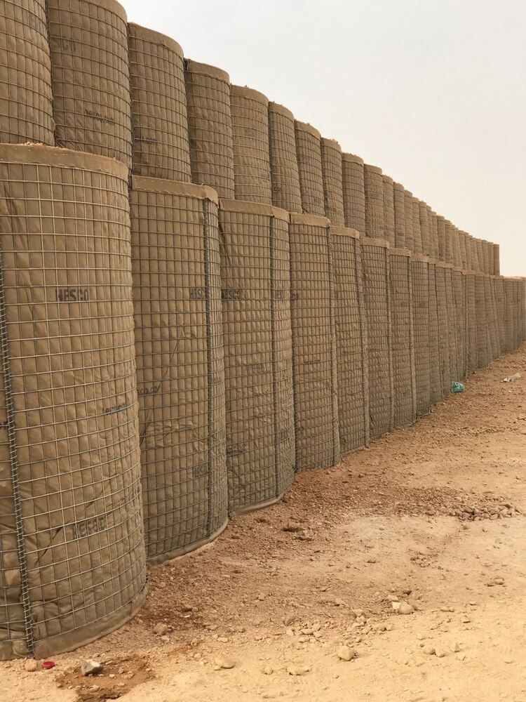 Military Services - force protection (2)