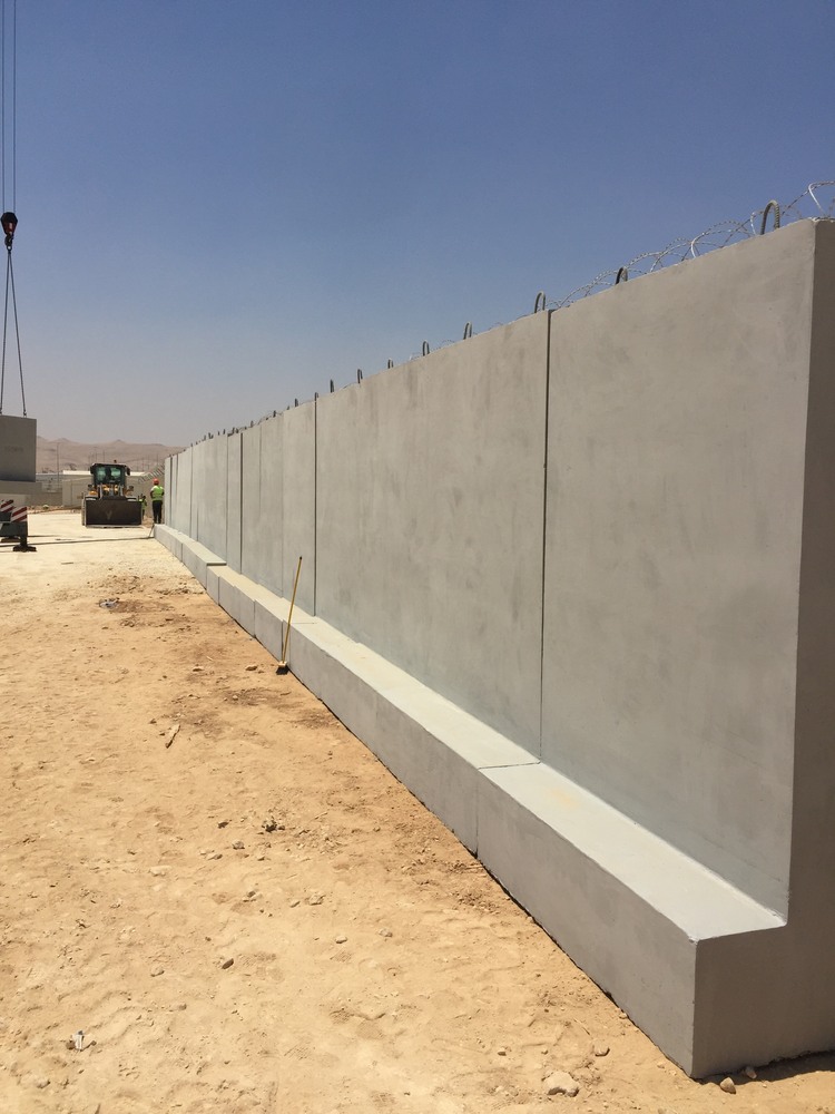 Military Services - force protection (4)